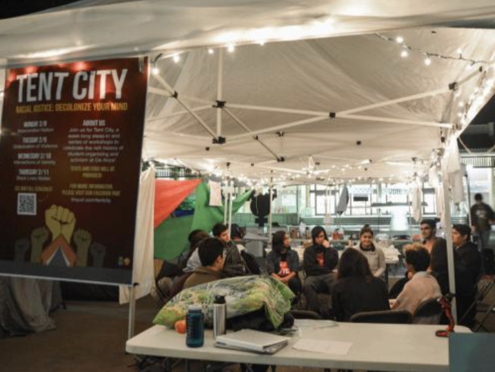 A group of people sit in a circle under a canopy adorned with string lights.