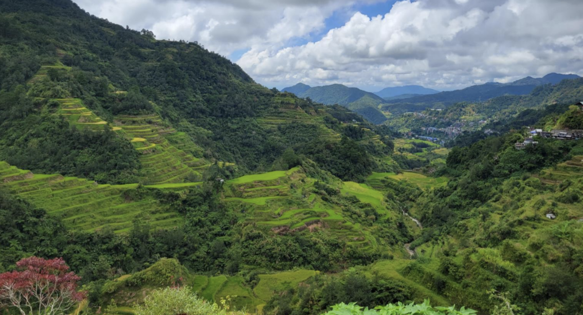 Lush green terraced rice fields stretch across rolling hills under a partly cloudy sky, with mountains in the background. 