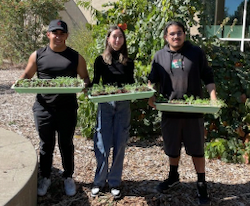 students with planter boxes