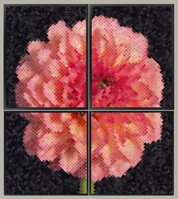 image of pink flower divided in four quadrants