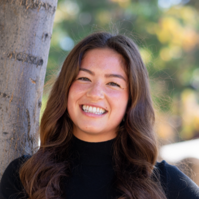 Ally worksho presenter