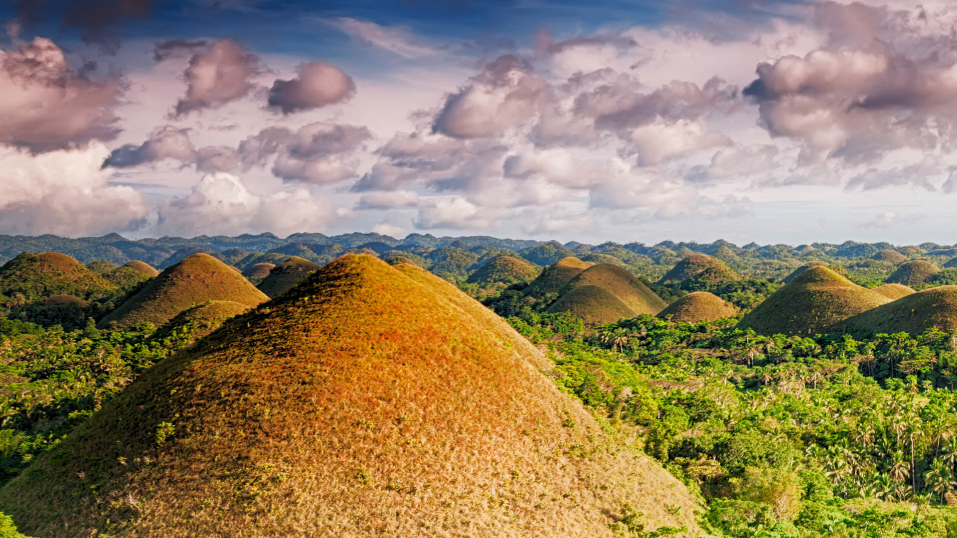 placeholder default text